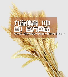 九游体育（中国）官方网站-9SPORTS